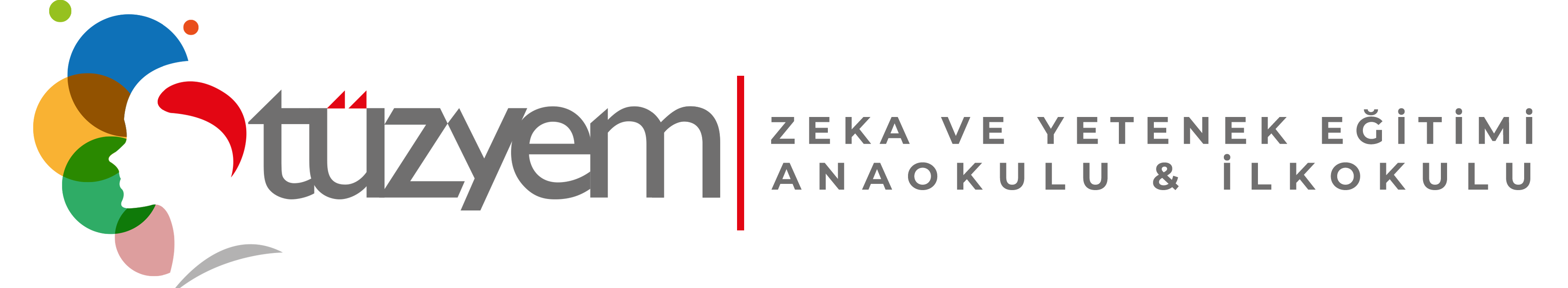 TÜZYEM